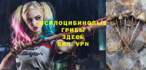 гашиш Дмитров