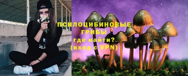 дживик Дмитровск
